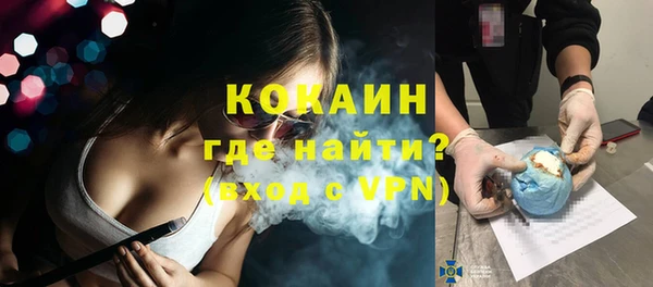 гашик Козельск