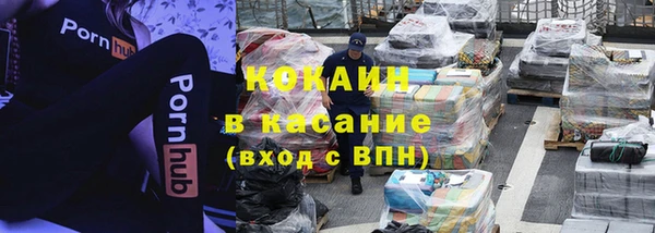 прущие грибы Болхов