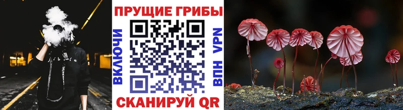 Галлюциногенные грибы Magic Shrooms  гидра ONION  Мантурово 
