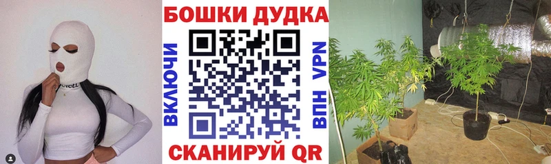 Конопля гибрид  как найти закладки  Мантурово 